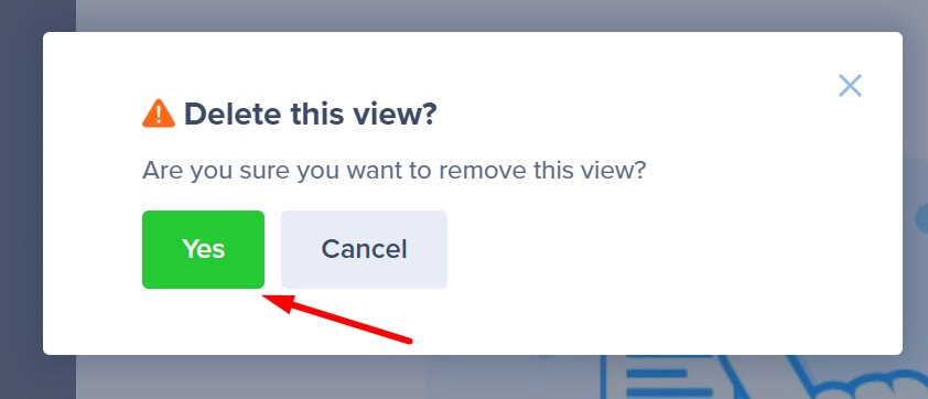 Screenshot of the "Delete View" button.